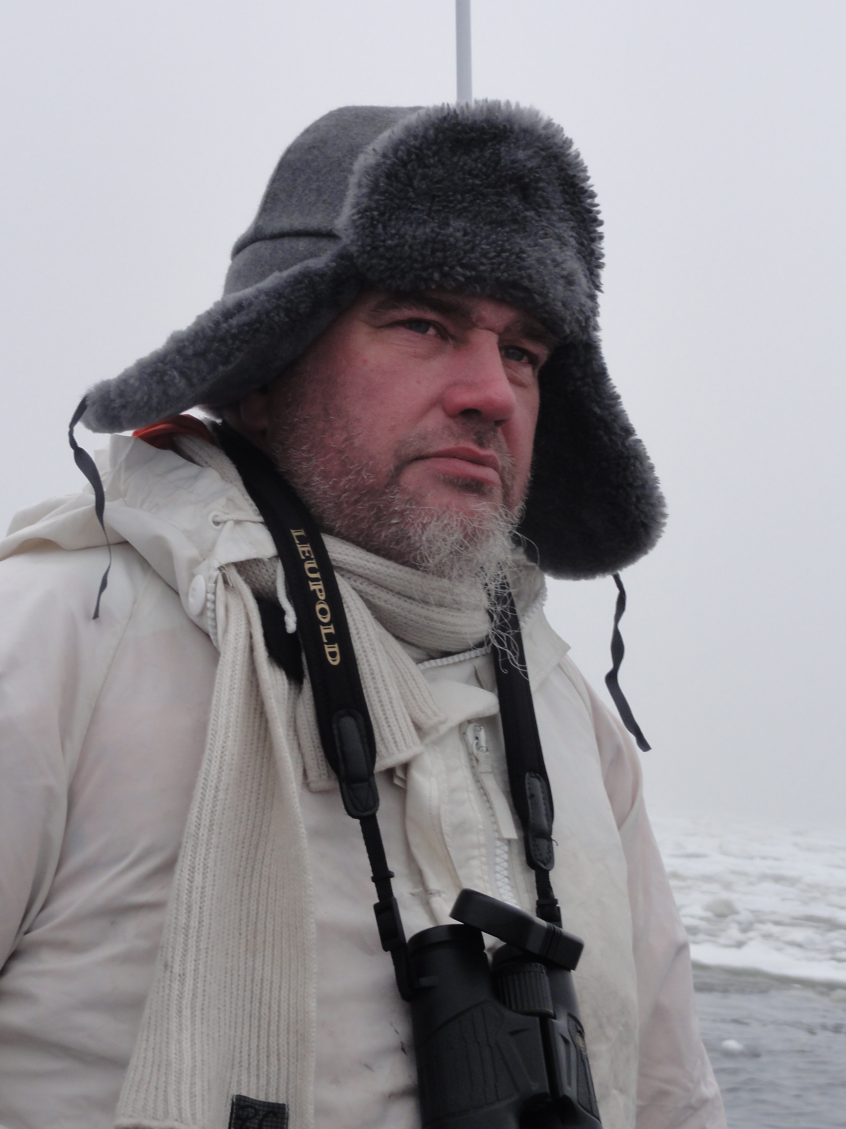 Hylkeenpyynniss&auml;, kasvokuva asesep&auml;st&auml;